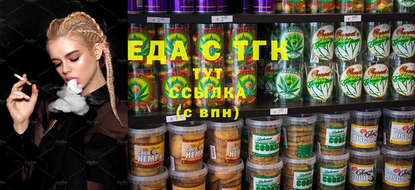 скорость Ельня
