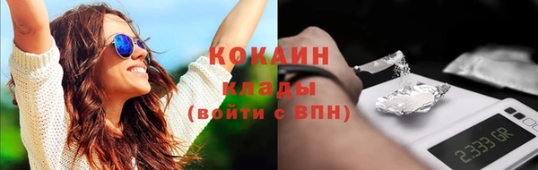 тгк Елизово