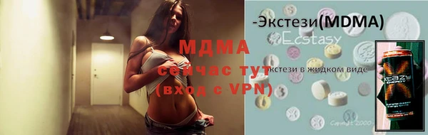 скорость Ельня
