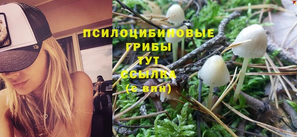 mdpv Елабуга