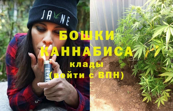 тгк Елизово