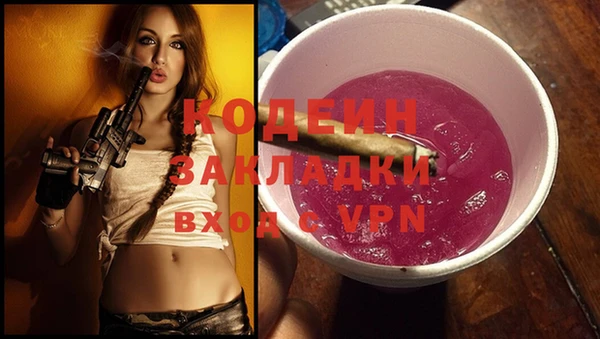скорость Ельня