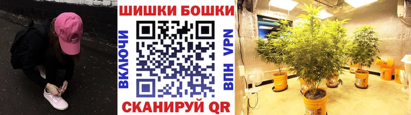 где можно купить наркотик  Сосновка  Бошки марихуана MAZAR 